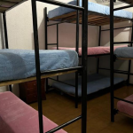 1 20241018 142528 0000