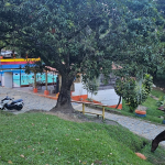 20241205 105125 0000