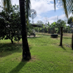 20251111 170318 0000