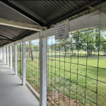 20251111 170409 0000