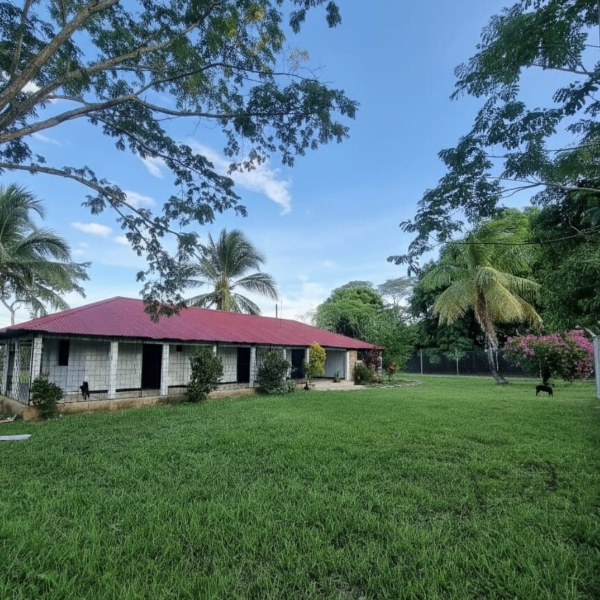 20251111_170629_0000