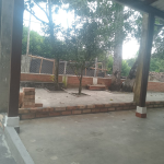 20251113 155924 0000