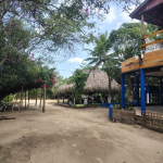 20260128 161839 0000 1