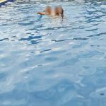 Picsart 23 08 14 12 17 55 038