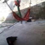 IMG 20240308 WA00191