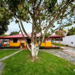 62 Rozo Valle 5 IMG 20260311 WA0013