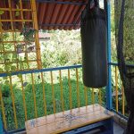 20250619 082259 0000