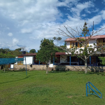 20250619 082808 0000