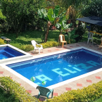 20250619 082942 0000