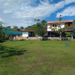 20250619 083133 0000